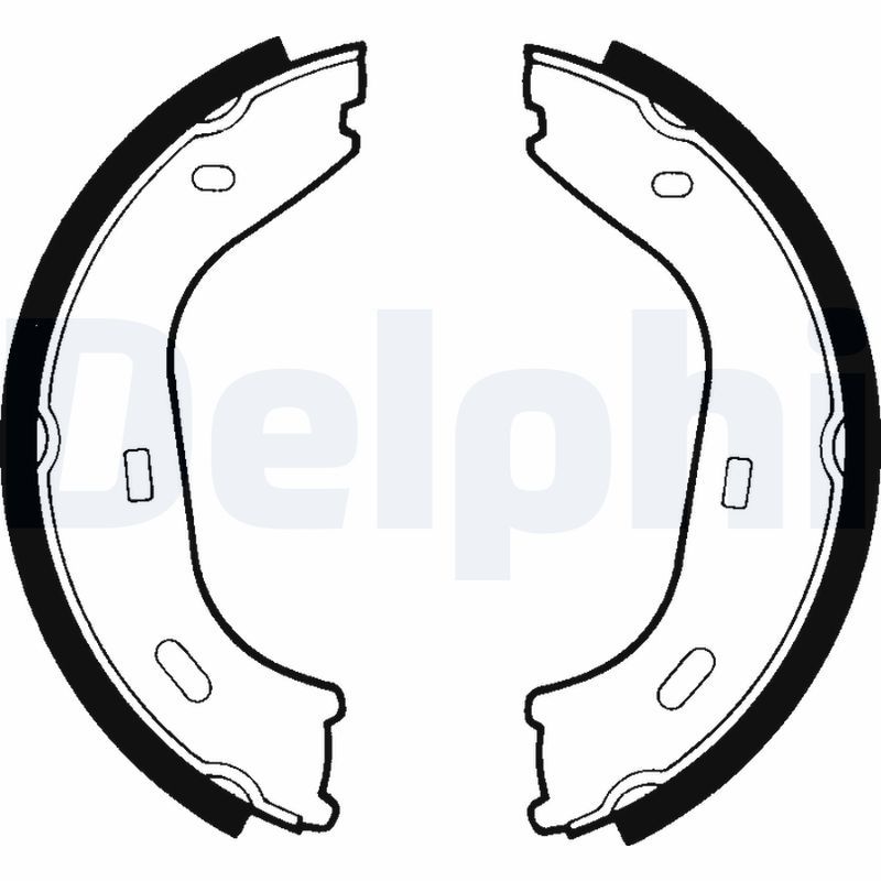 DELPHI LS1372 Brake shoe set, parking brake
