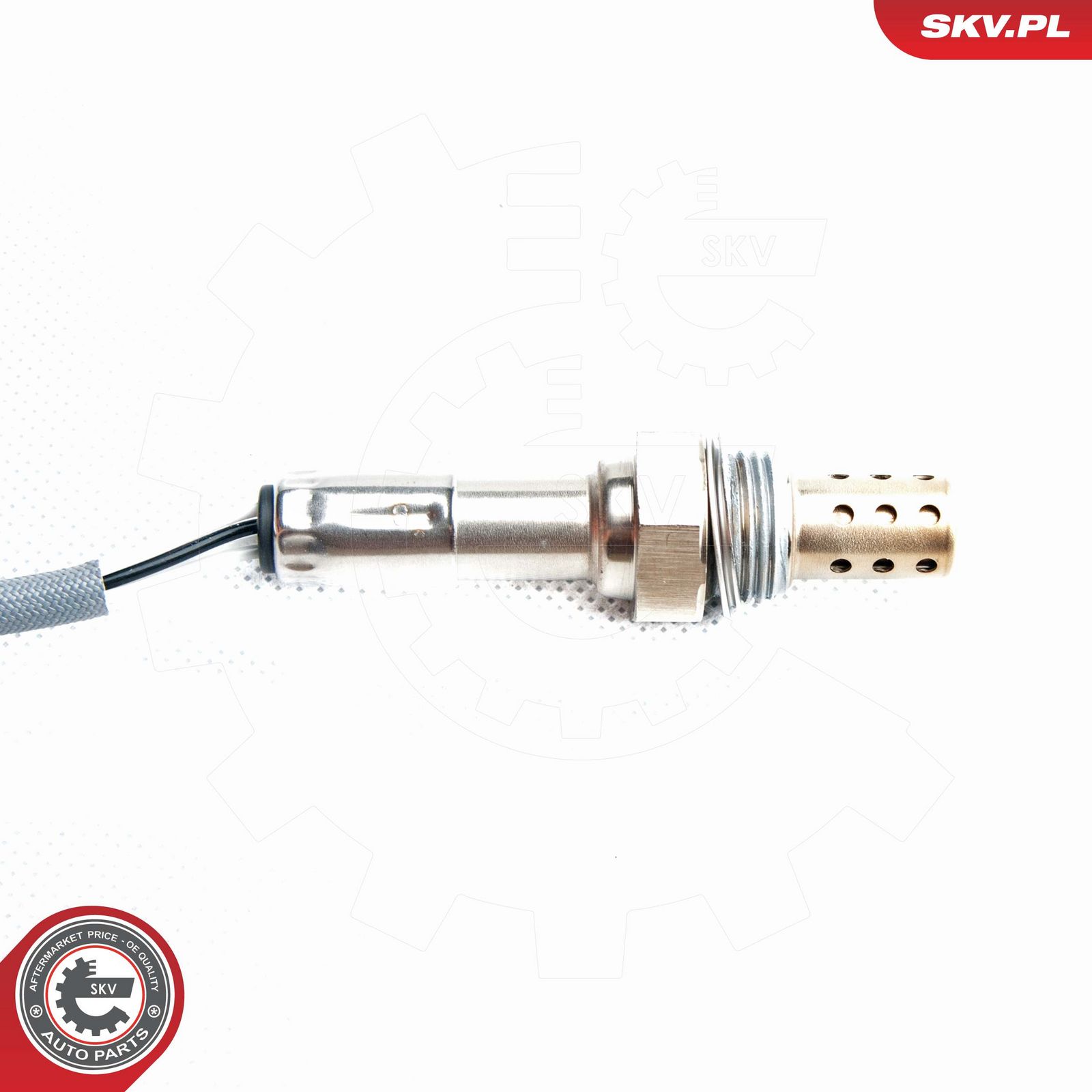 Oxygen Sensor-2