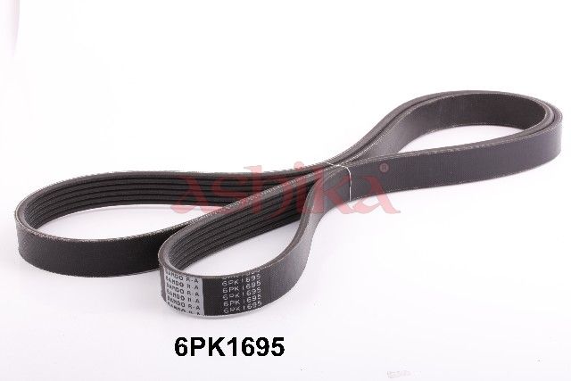 ASHIKA 112-6PK1695 V-ribbed belt