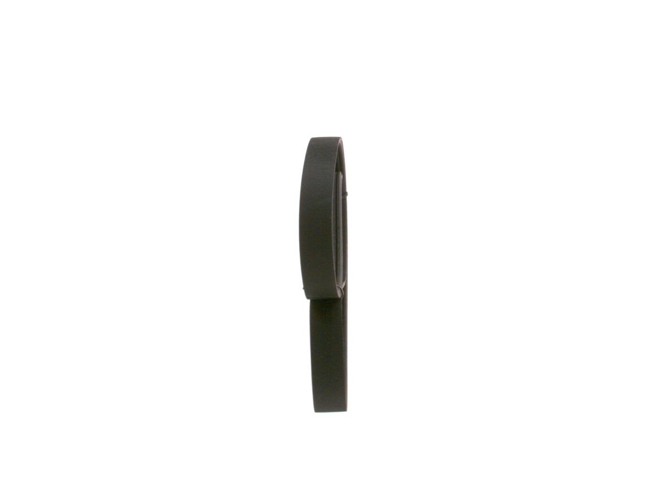 V-ribbed Belt-1
