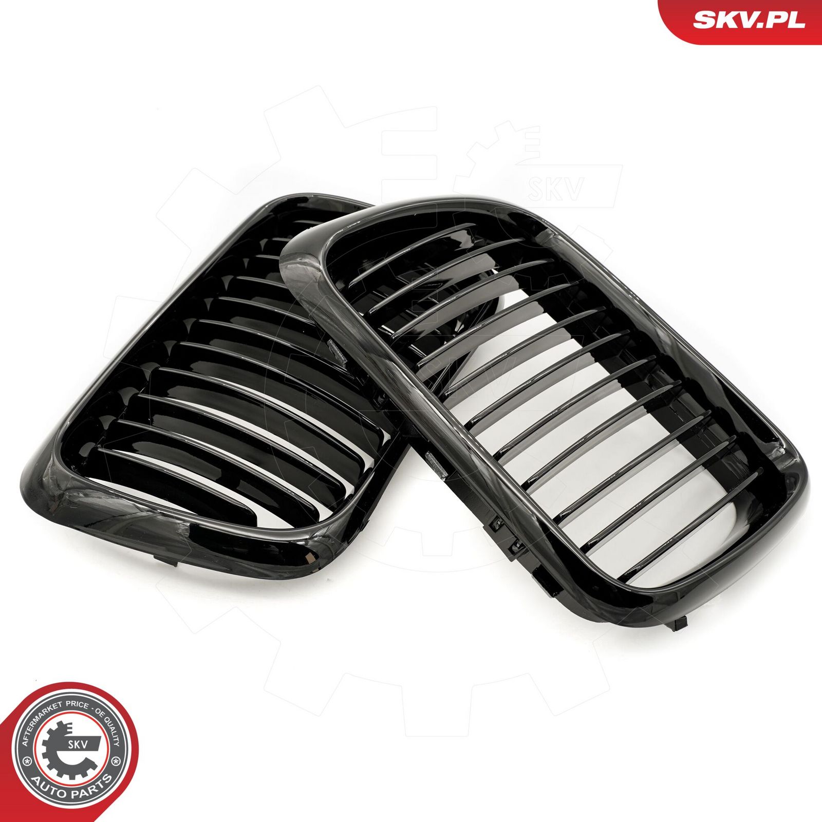 Radiator Grille-2
