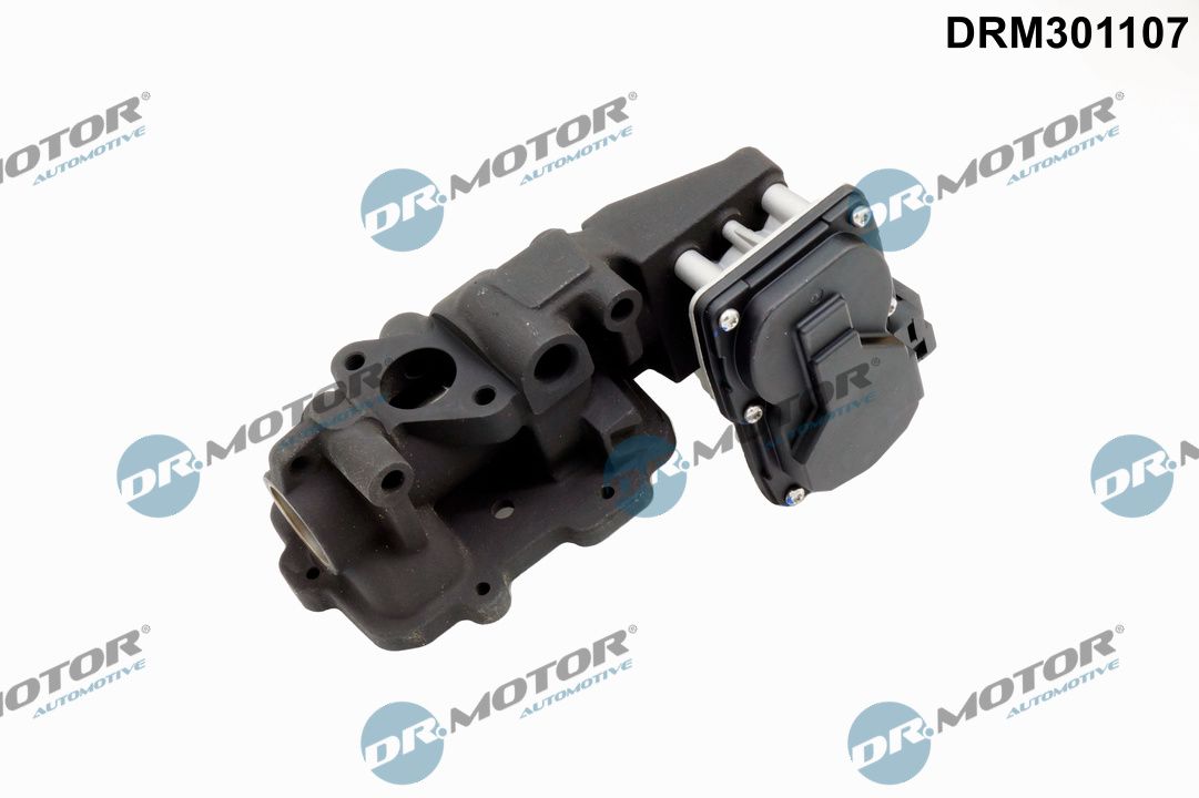DR.MOTOR AUTOMOTIVE DRM301107 Egr valve