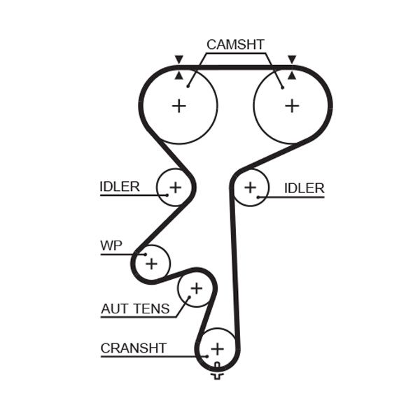 GATES 5542XS Timing belt