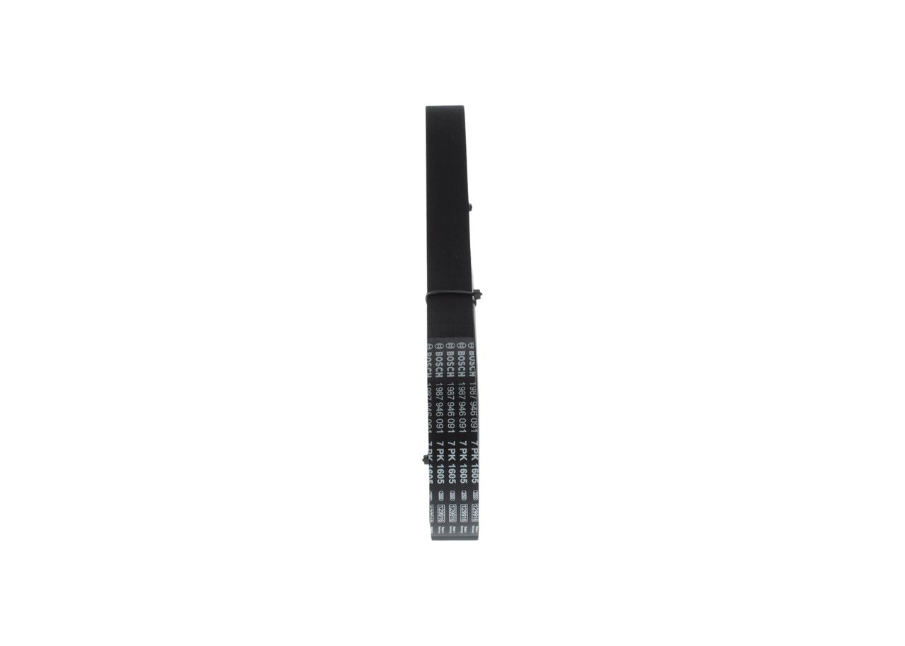 V-ribbed Belt-1