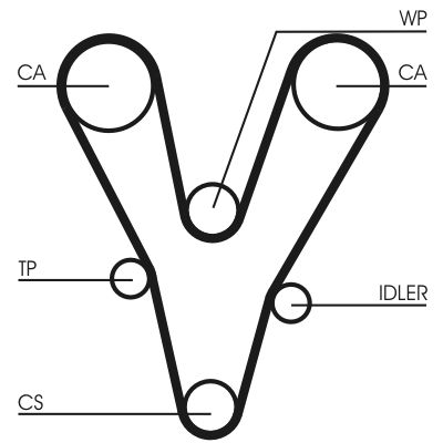 Timing Belt