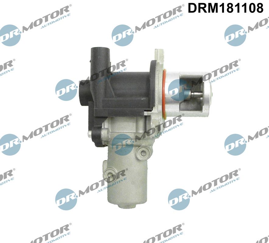 DR.MOTOR AUTOMOTIVE DRM181108 Egr valve