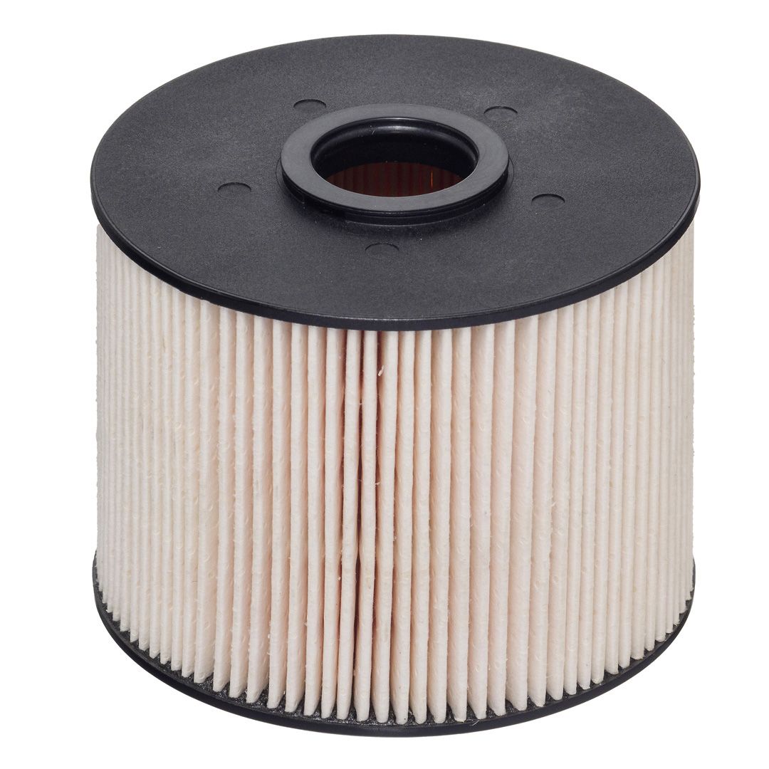 HENGST FILTER E425KP D219 Fuel filter