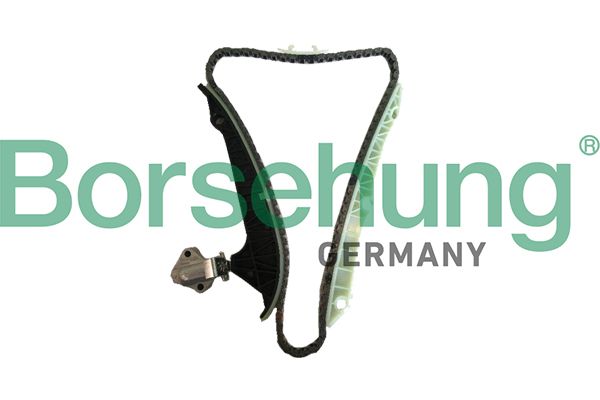 BORSEHUNG B18778 Timing chain kit