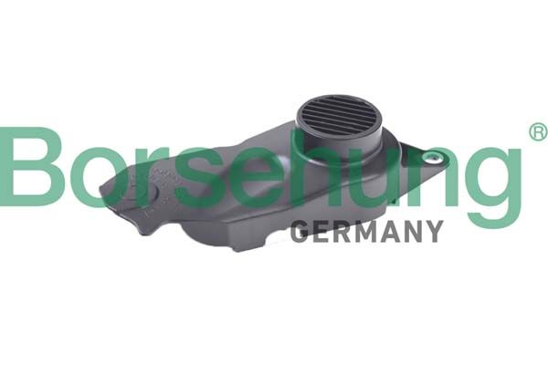 BORSEHUNG B10667 Cover, timing belt