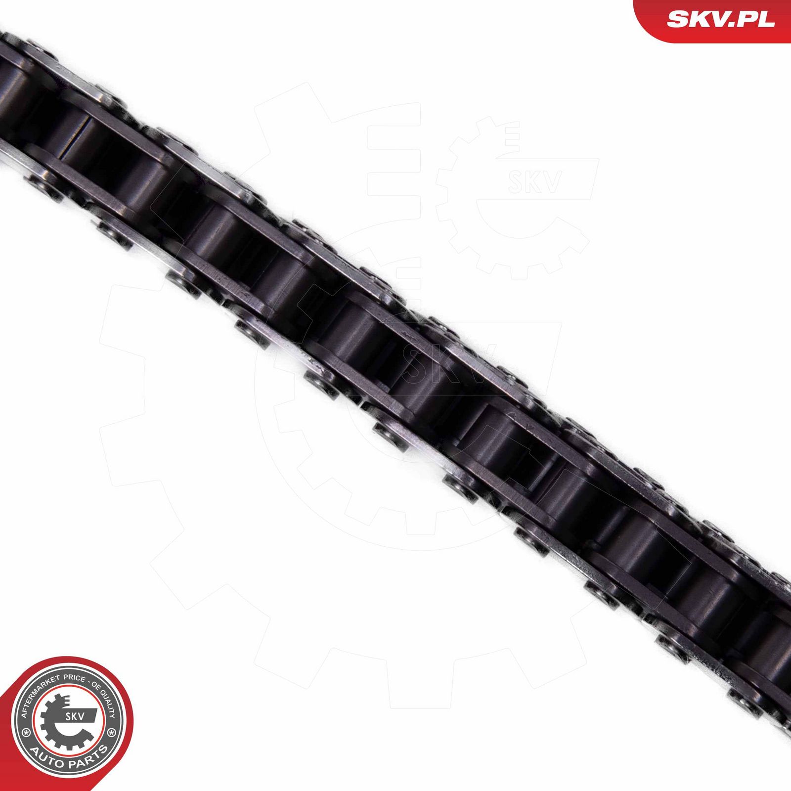 Timing Chain Kit