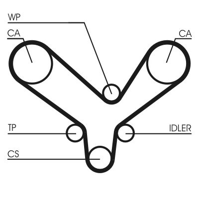 Timing Belt-1