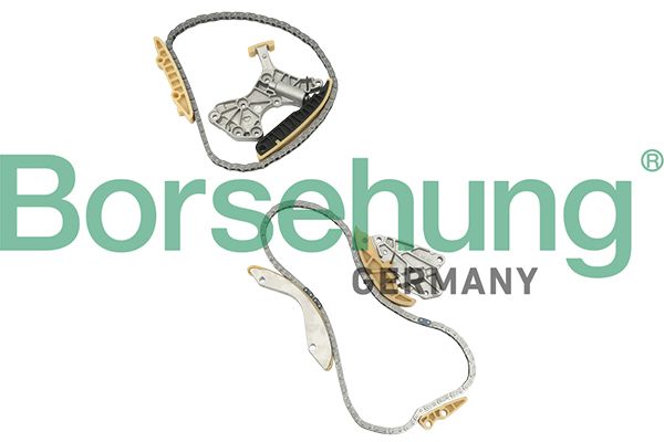 BORSEHUNG B18844 Timing chain kit
