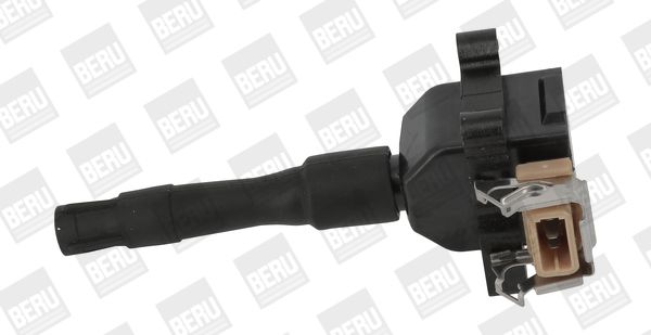 BORGWARNER (BERU) ZS014 Ignition coil