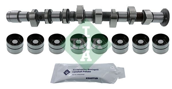 SCHAEFFLER INA 428 0051 30 Camshaft kit
