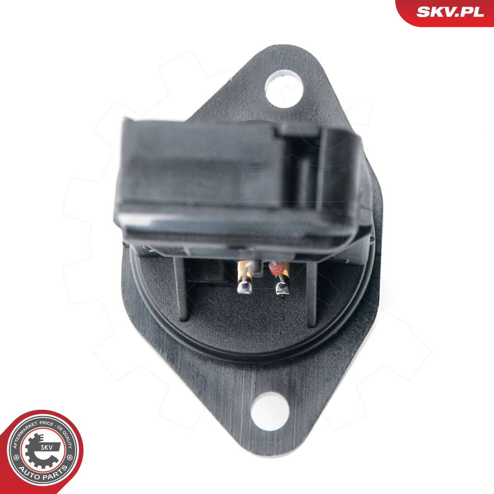 Mass Air Flow Sensor-1
