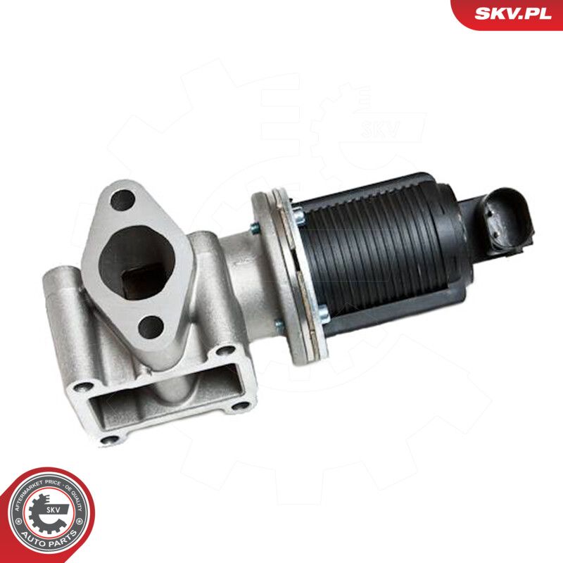 EGR Valve-3