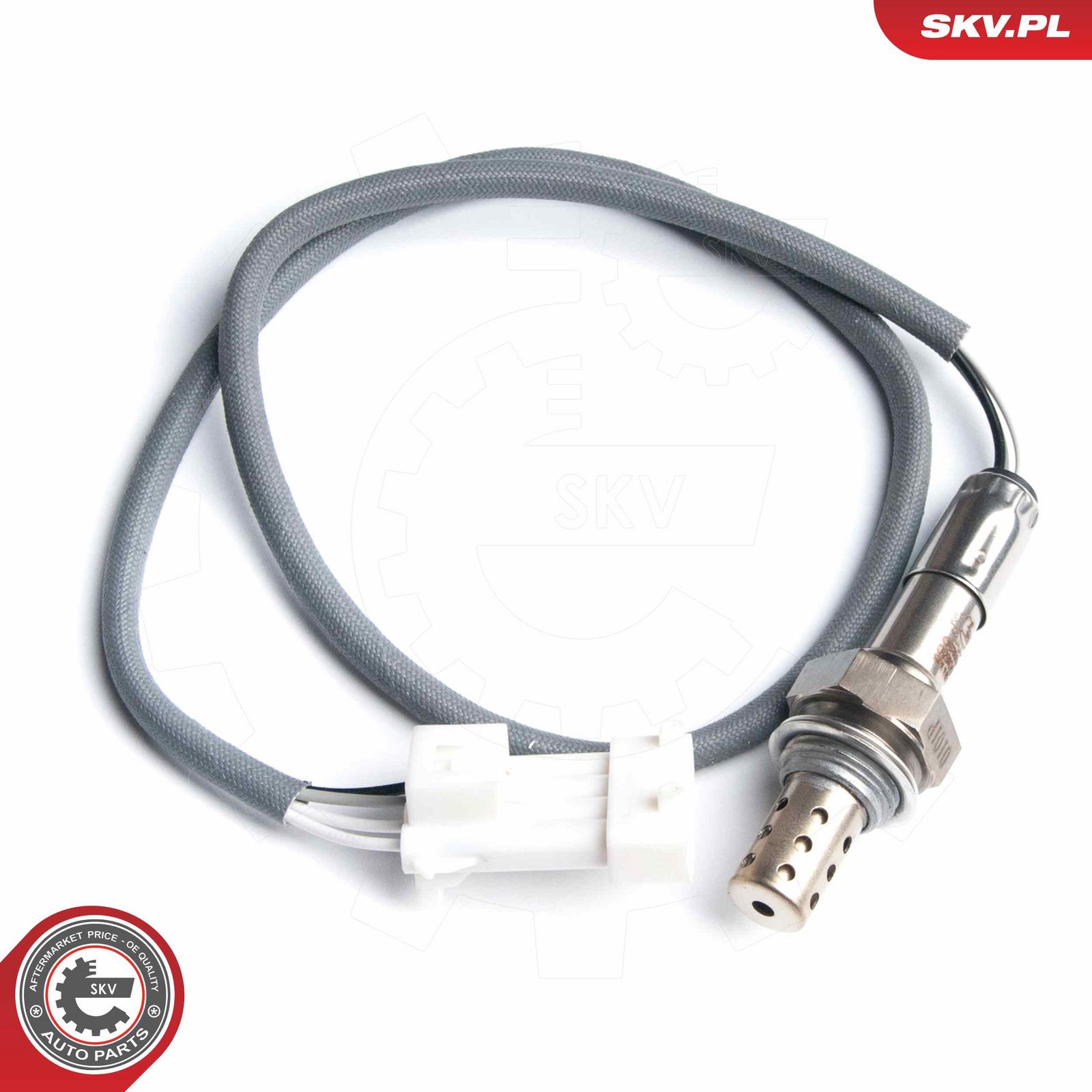 Oxygen Sensor-2