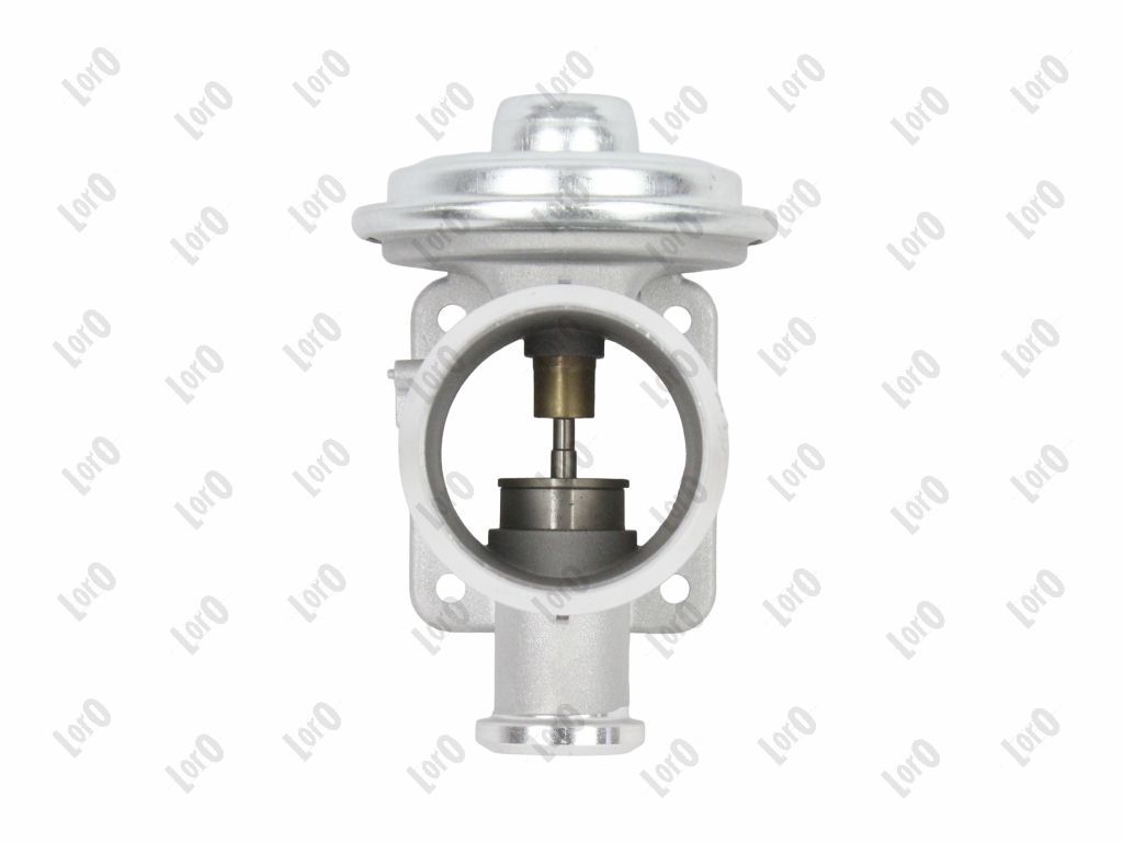 EGR Valve-2