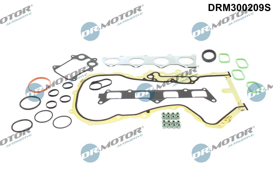 DR.MOTOR AUTOMOTIVE DRM300209S Gasket kit, cylinder head