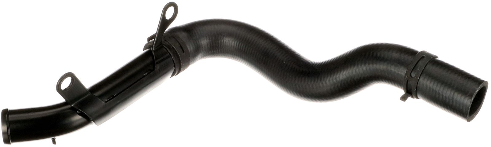 Radiator Hose-main