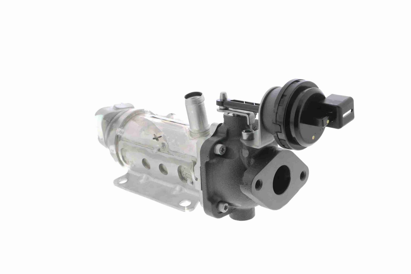 Cooler, exhaust gas recirculation-7