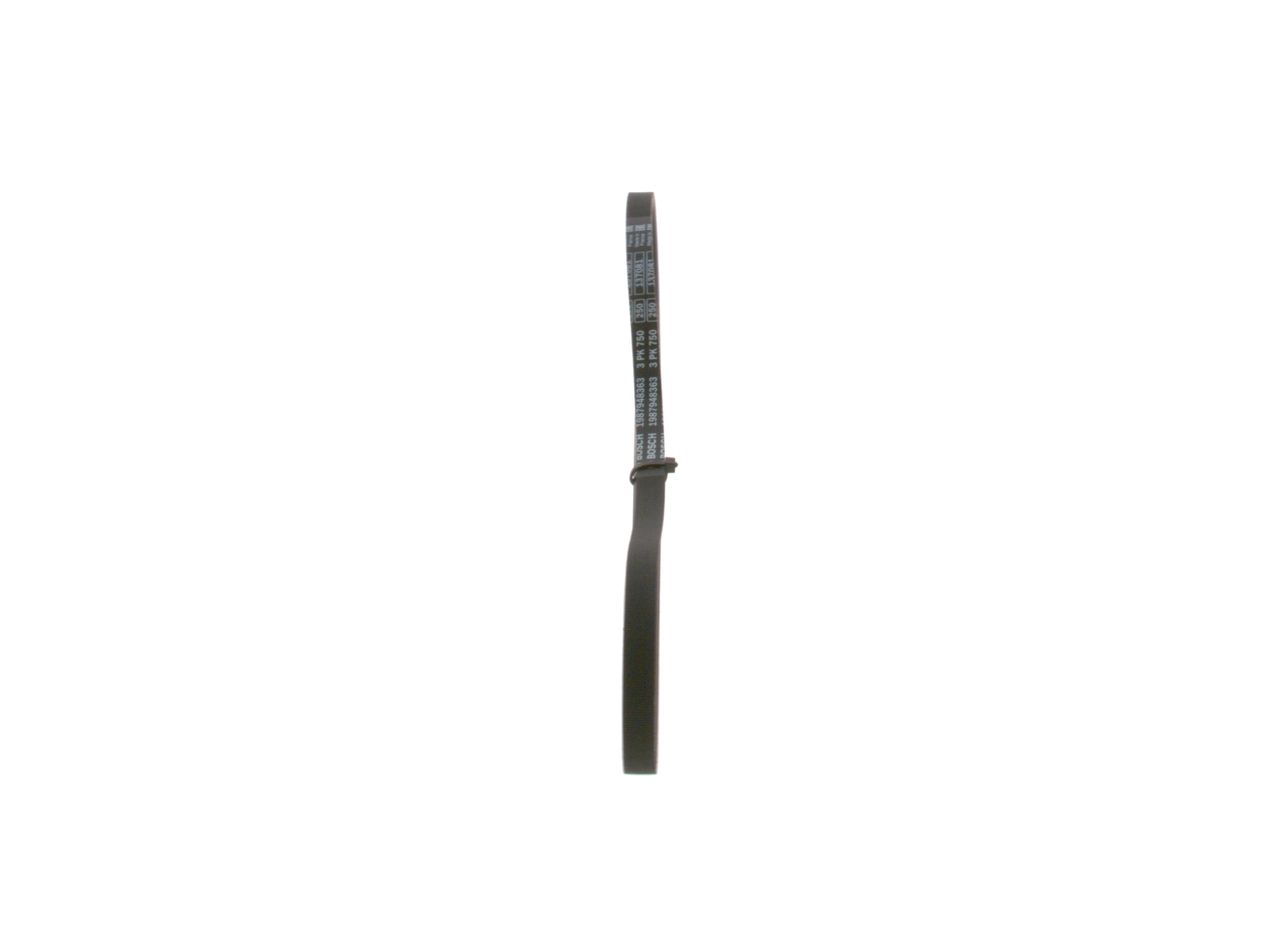 V-ribbed Belt-3