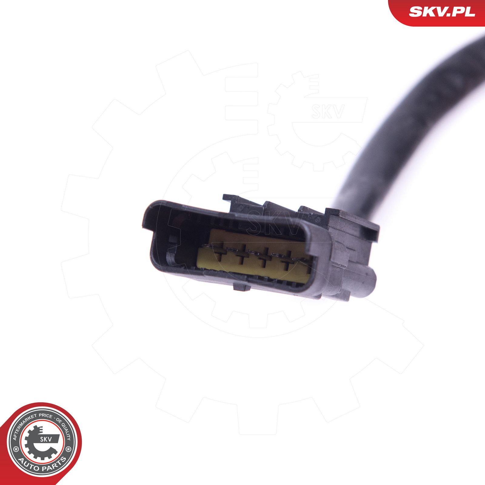 Wiper Motor-3