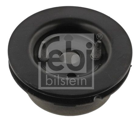 Mounting, transfer case