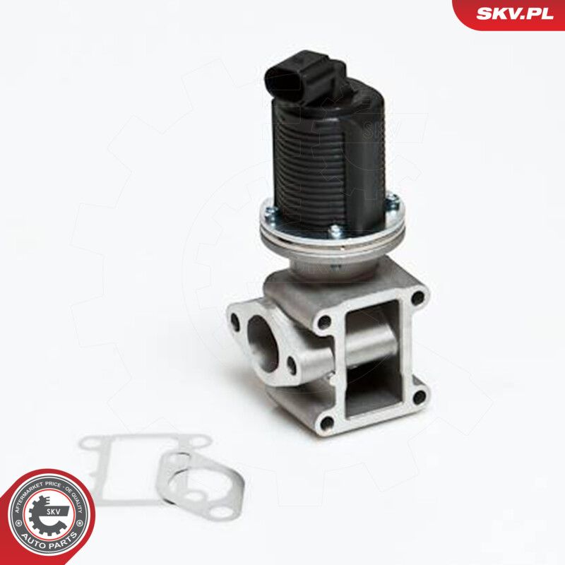 EGR Valve-4