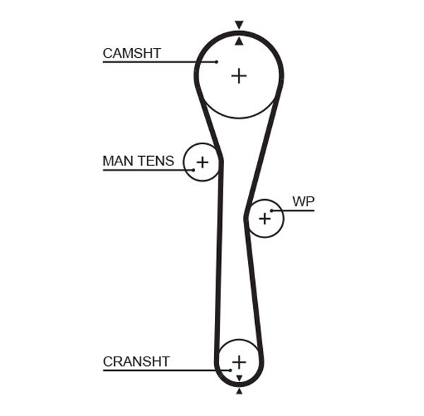 GATES 5577XS Timing belt