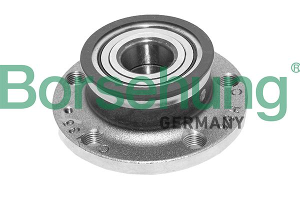 BORSEHUNG B15624 Wheel bearing kit