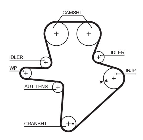 GATES 5586XS Timing belt