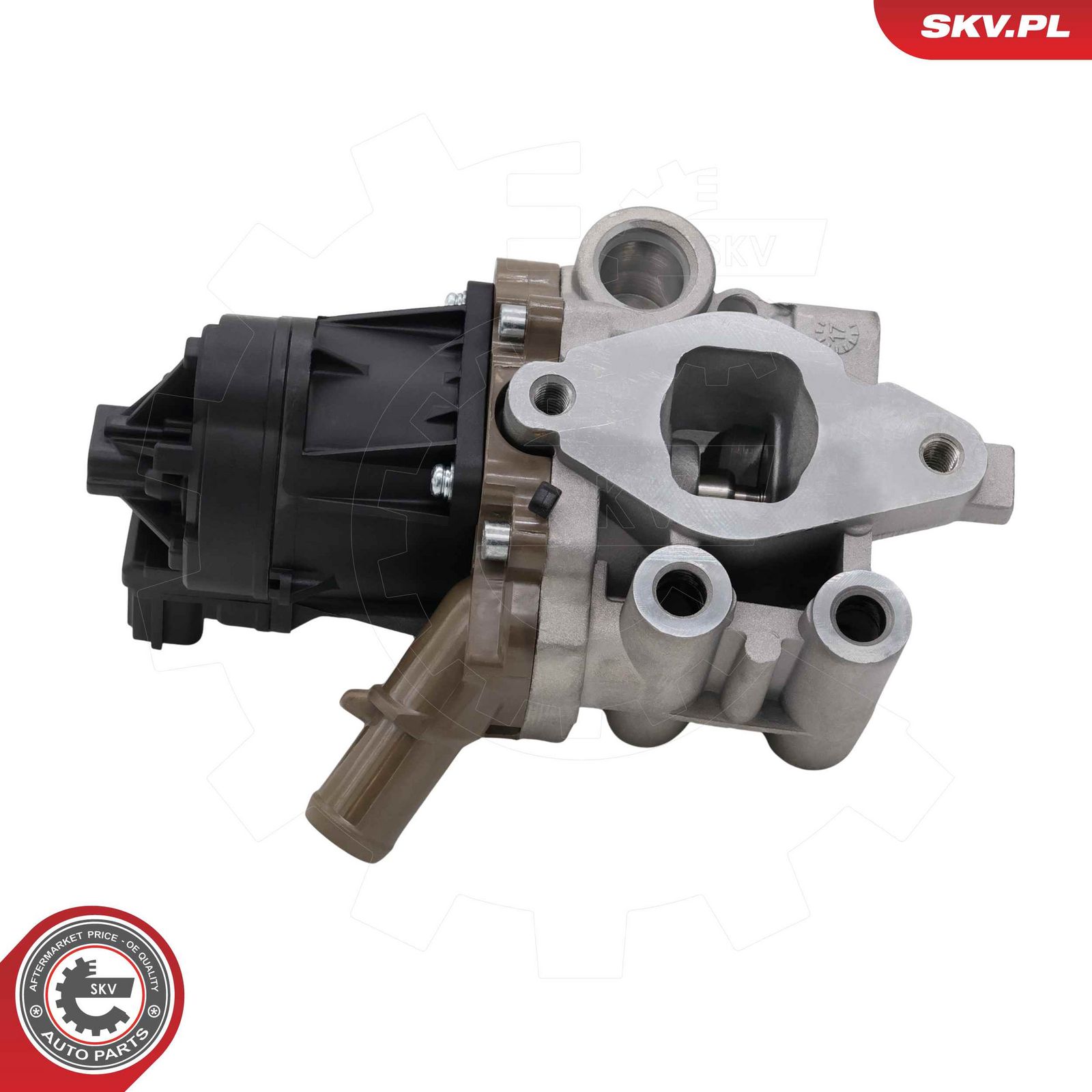 EGR Valve-2