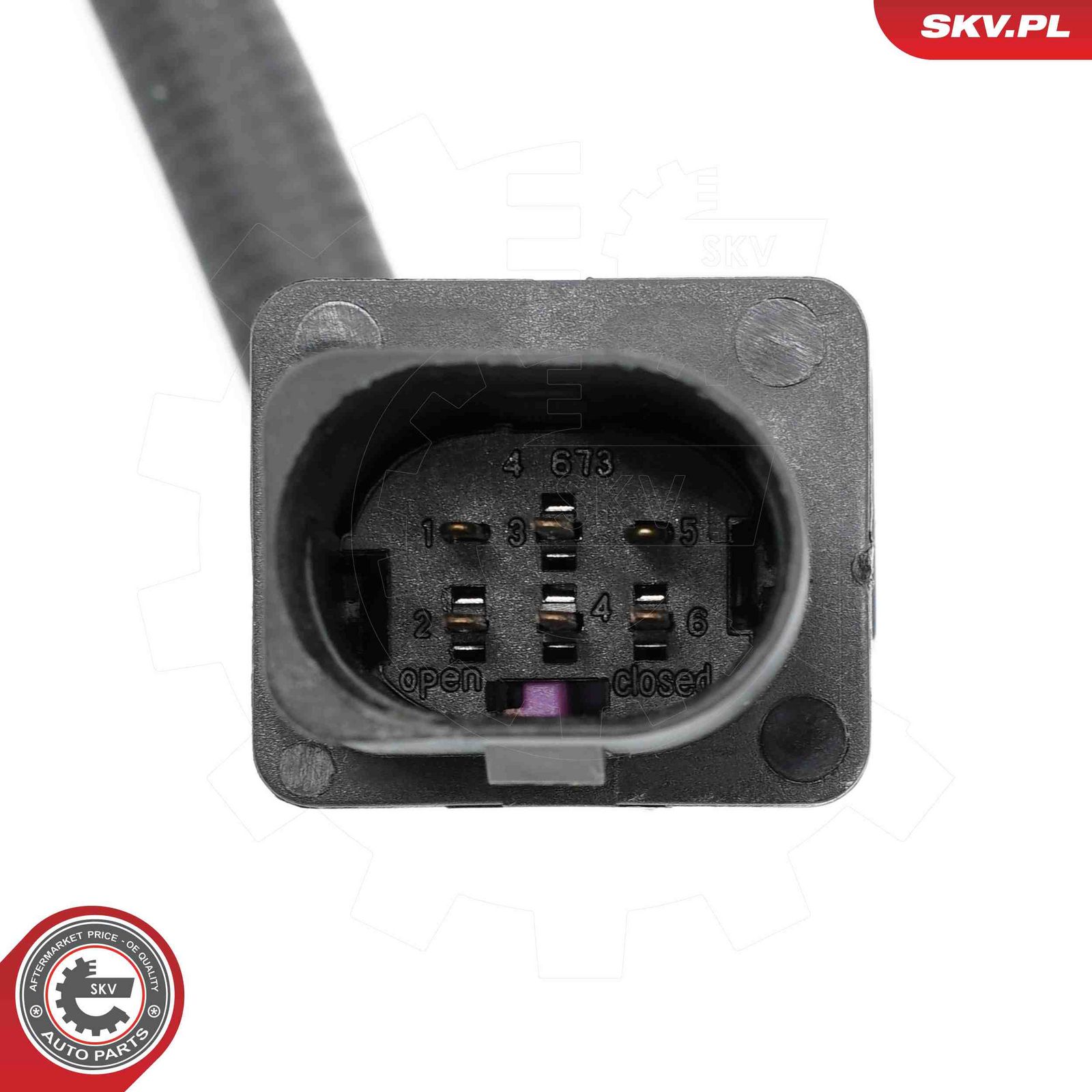 Oxygen Sensor-4