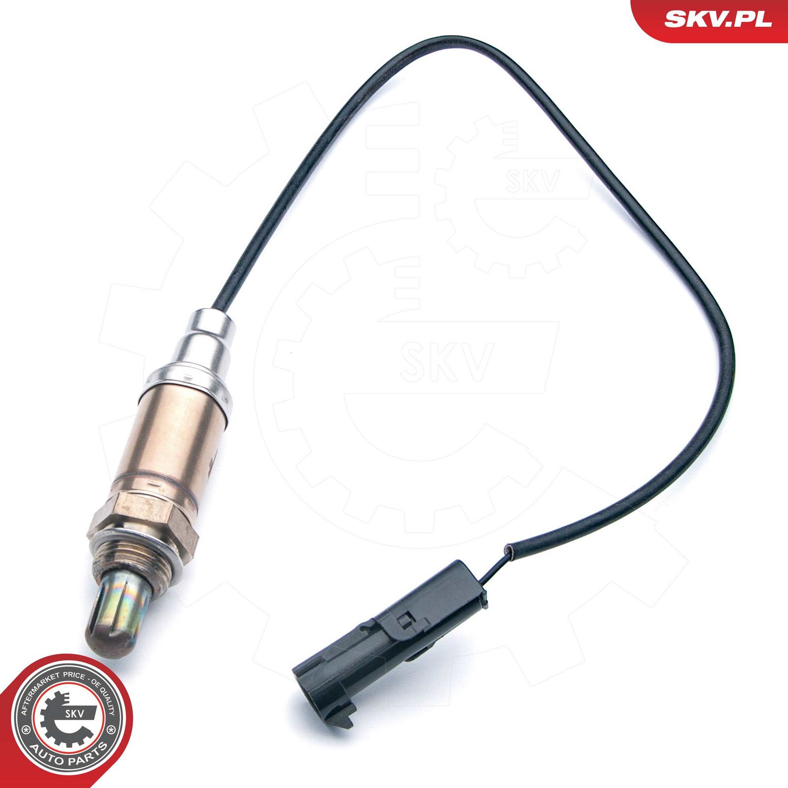 Oxygen Sensor-1