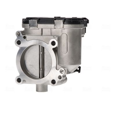 Throttle Body-1