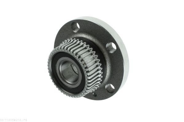 AUTOMEGA 110098510 Wheel bearing kit