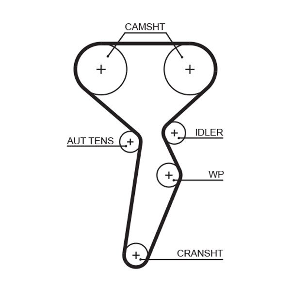 GATES 5671XS Timing belt