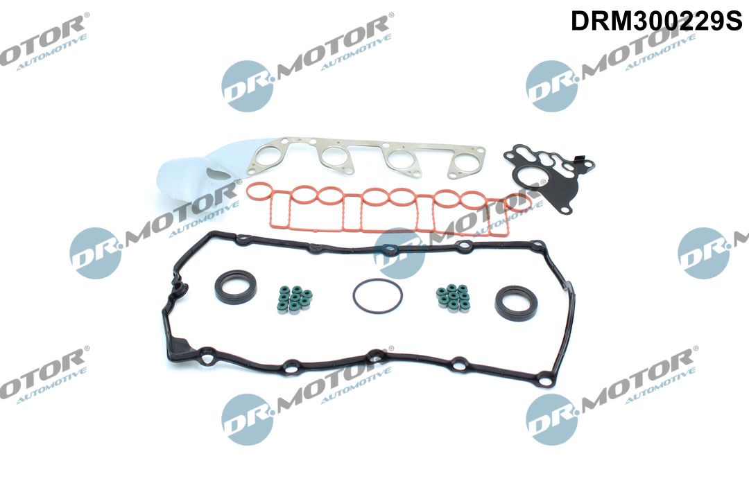 DR.MOTOR AUTOMOTIVE DRM300229S Gasket kit, cylinder head