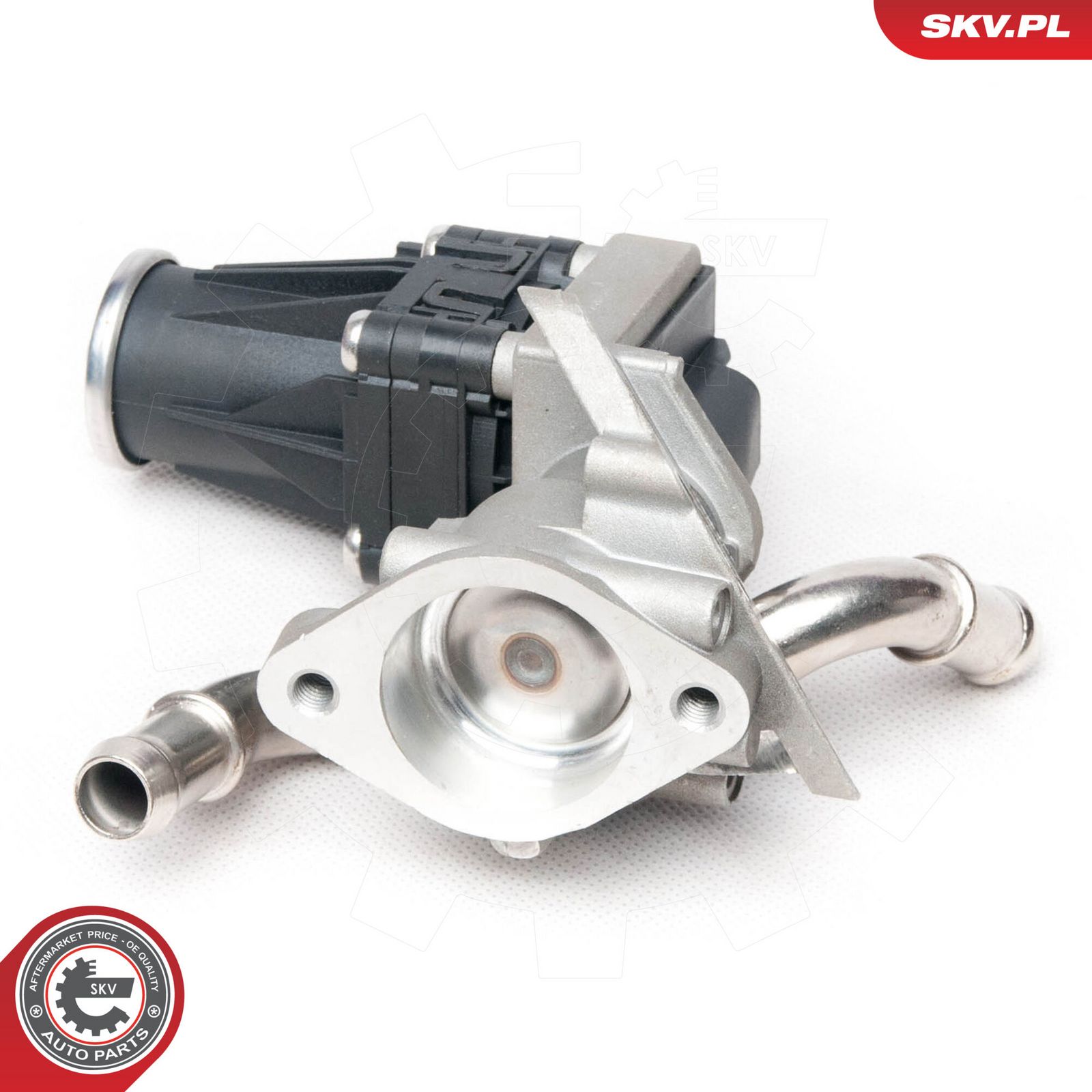 EGR Valve-3