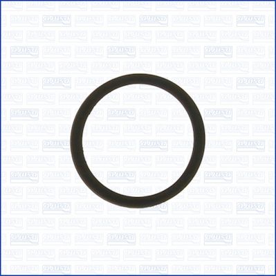 Seal Ring, coolant pipe-1