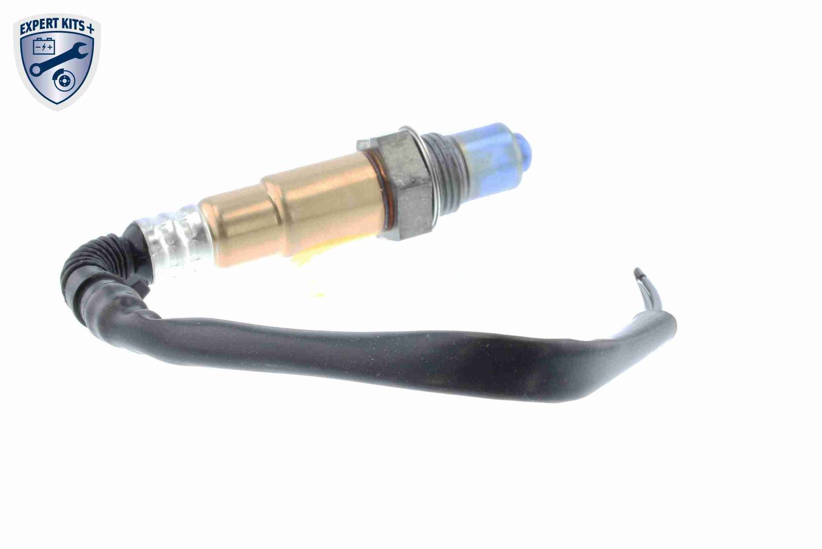 Oxygen Sensor-4