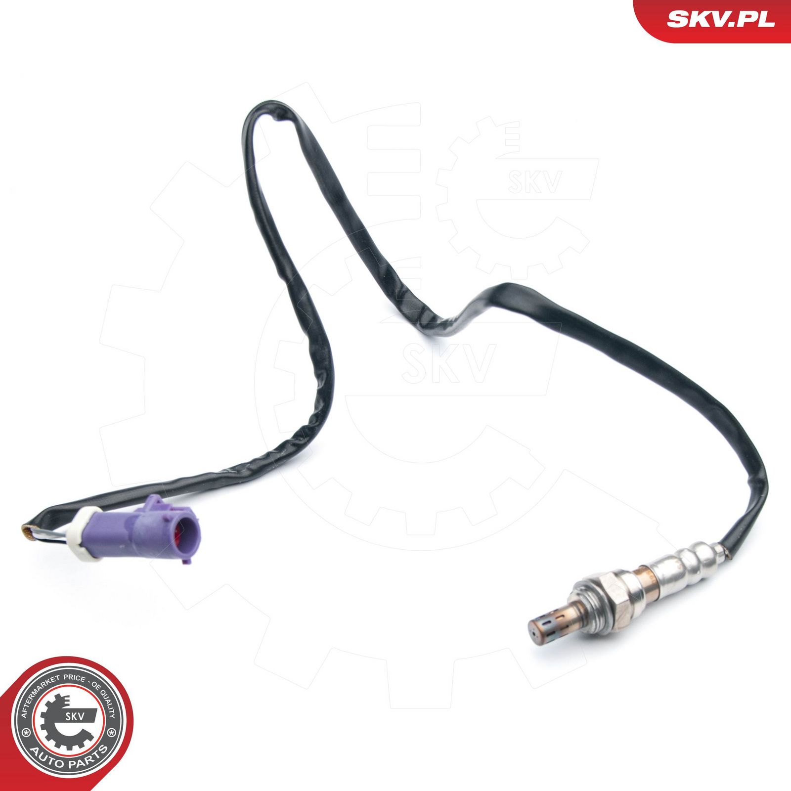 Oxygen Sensor-3