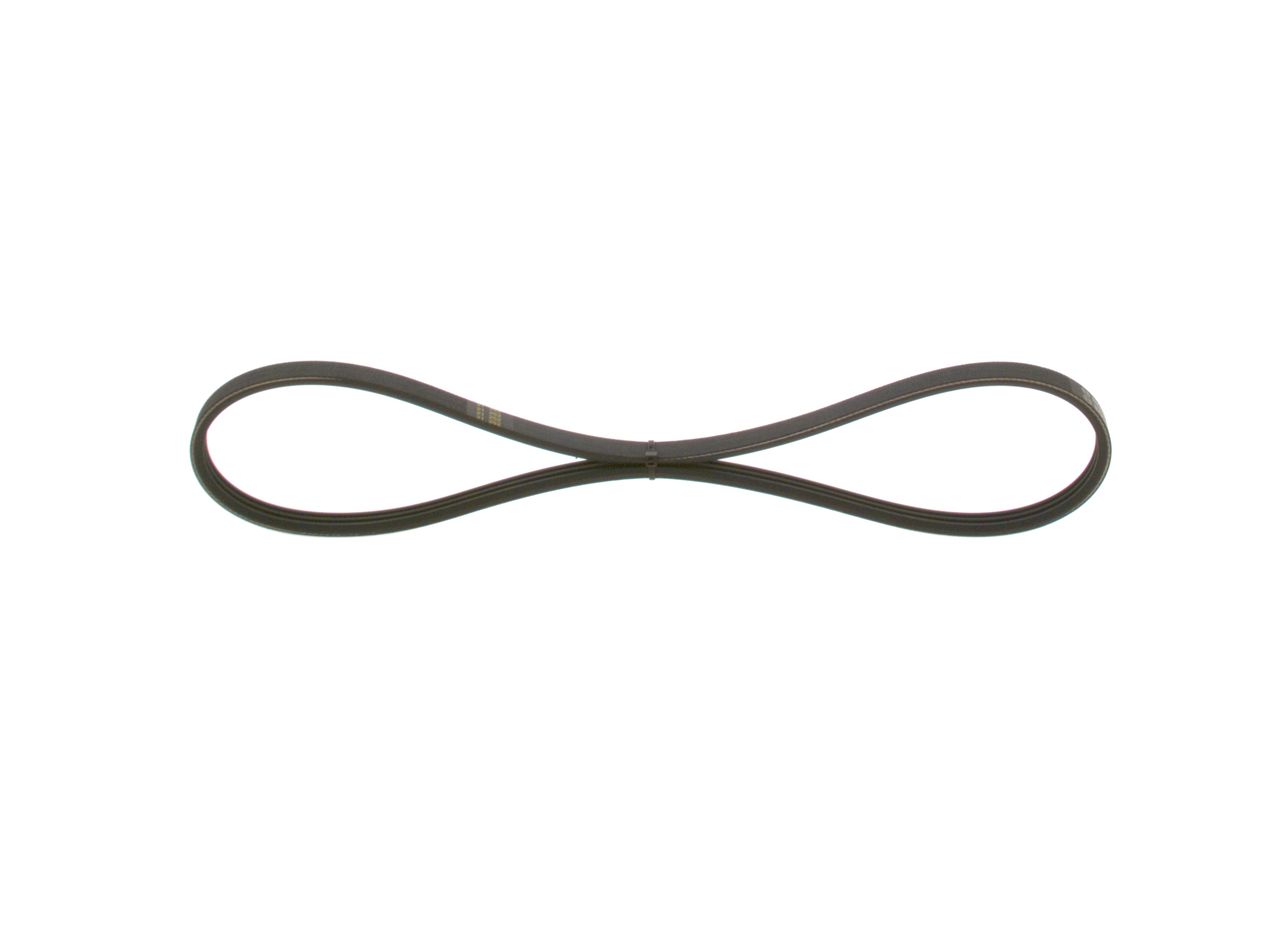 V-ribbed Belt