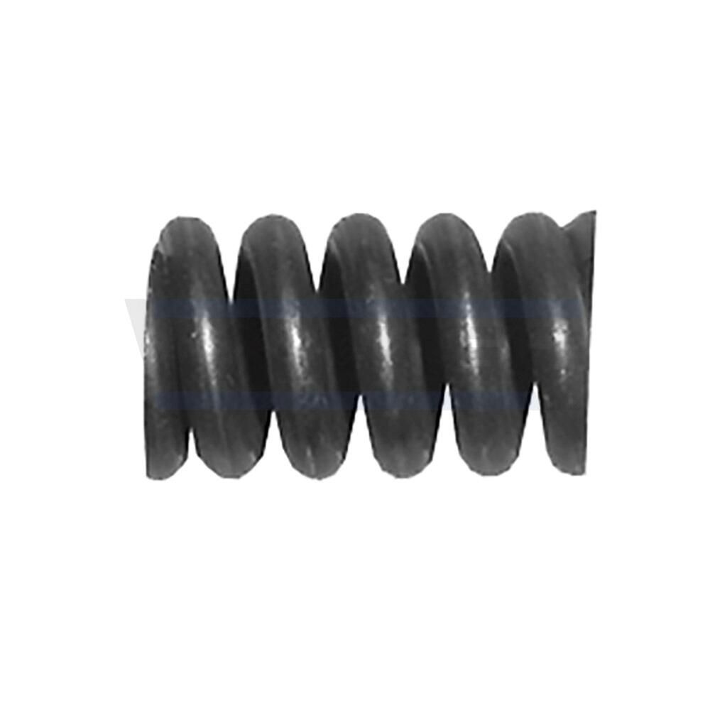 Spring, muffler-1