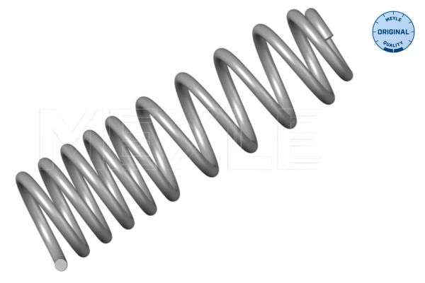 Suspension Spring-main