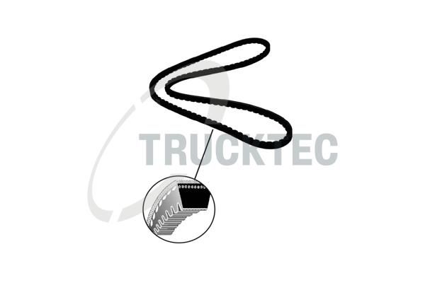 TRUCKTEC AUTOMOTIVE 08.19.100 V-belt