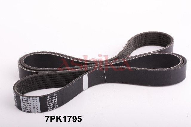 ASHIKA 112-7PK1795 V-ribbed belt