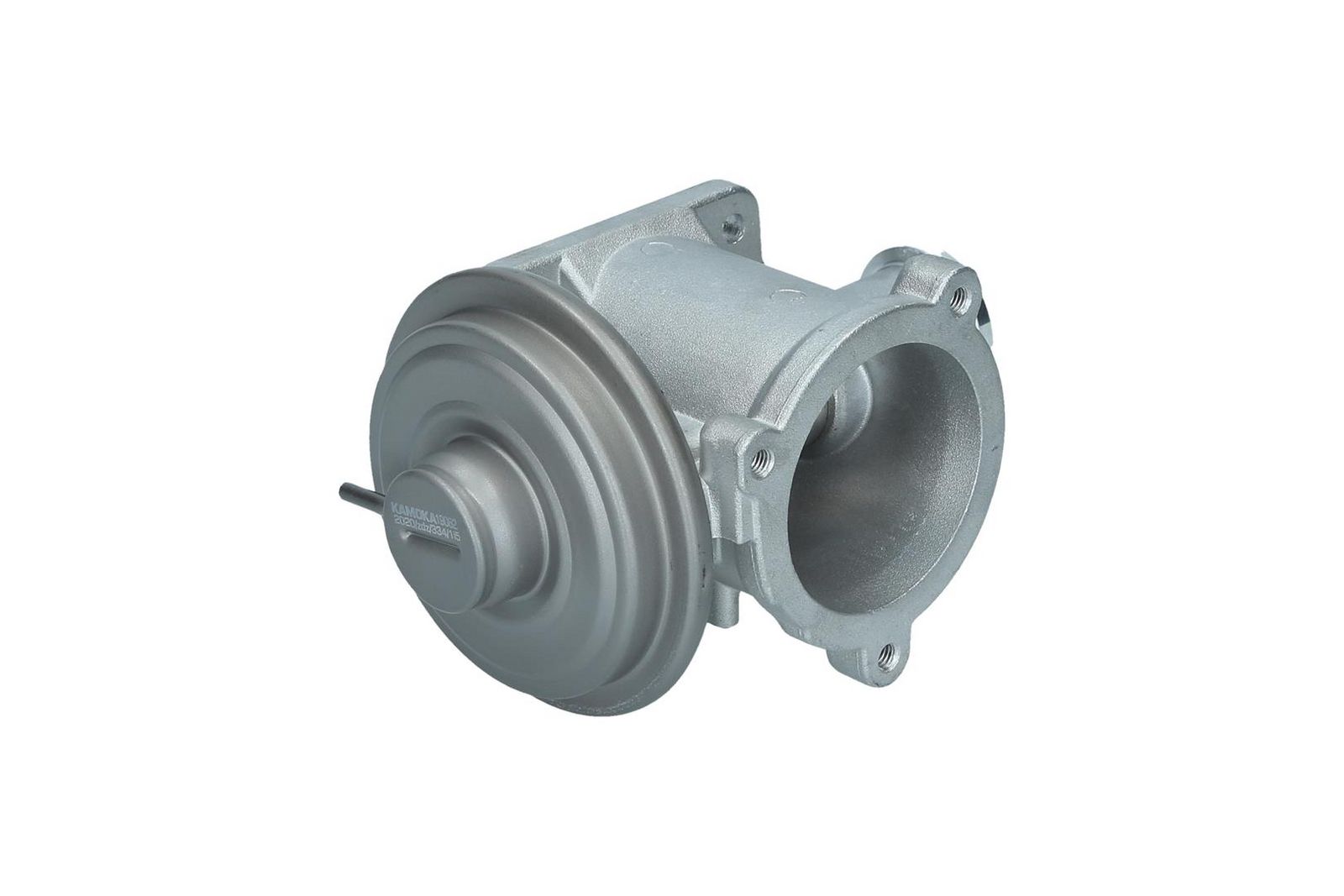 EGR Valve-1