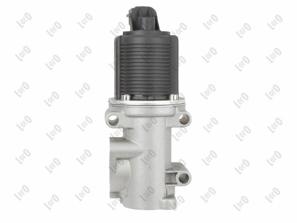 EGR Valve-3
